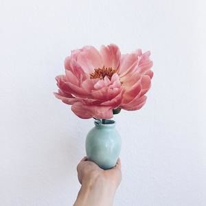 Meet your Posher, Lillian